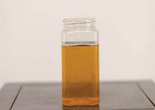 污泥还原菌剂 污泥还原菌剂