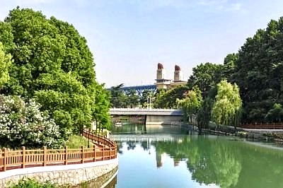黑臭水体治理 黑臭水体治理