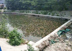 黑臭水体治理项目
