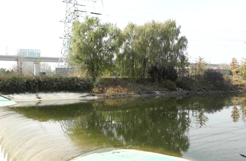 河道水质提升项目
